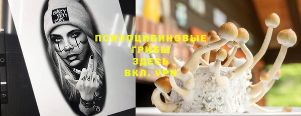 ГАЛЛЮЦИНОГЕННЫЕ ГРИБЫ Верхнеуральск